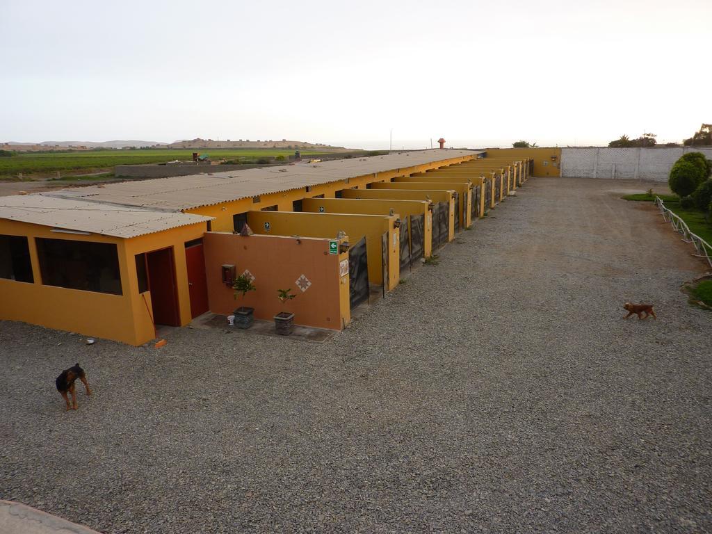 Motel Sahara Suites Barranca Eksteriør billede
